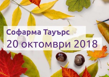 Data-i-miasto-20-oct-2018